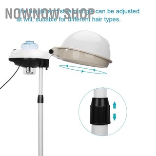 Máy hấp dầu chăm sóc tóc dạng đứng chất lượng