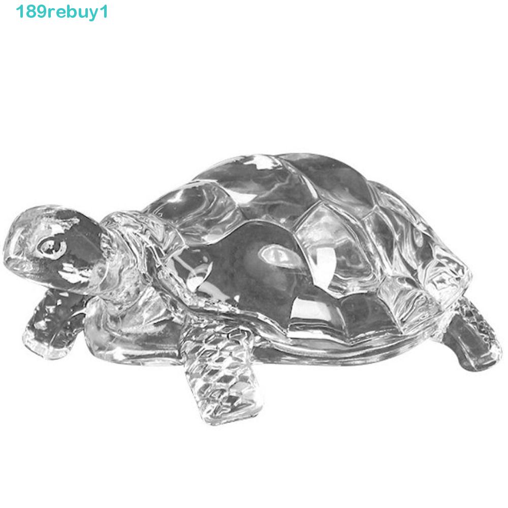 Hồ Cá Trong Suốt Để Bàn Trang Trí Hình Rùa Sáng Tạo REBUY1
