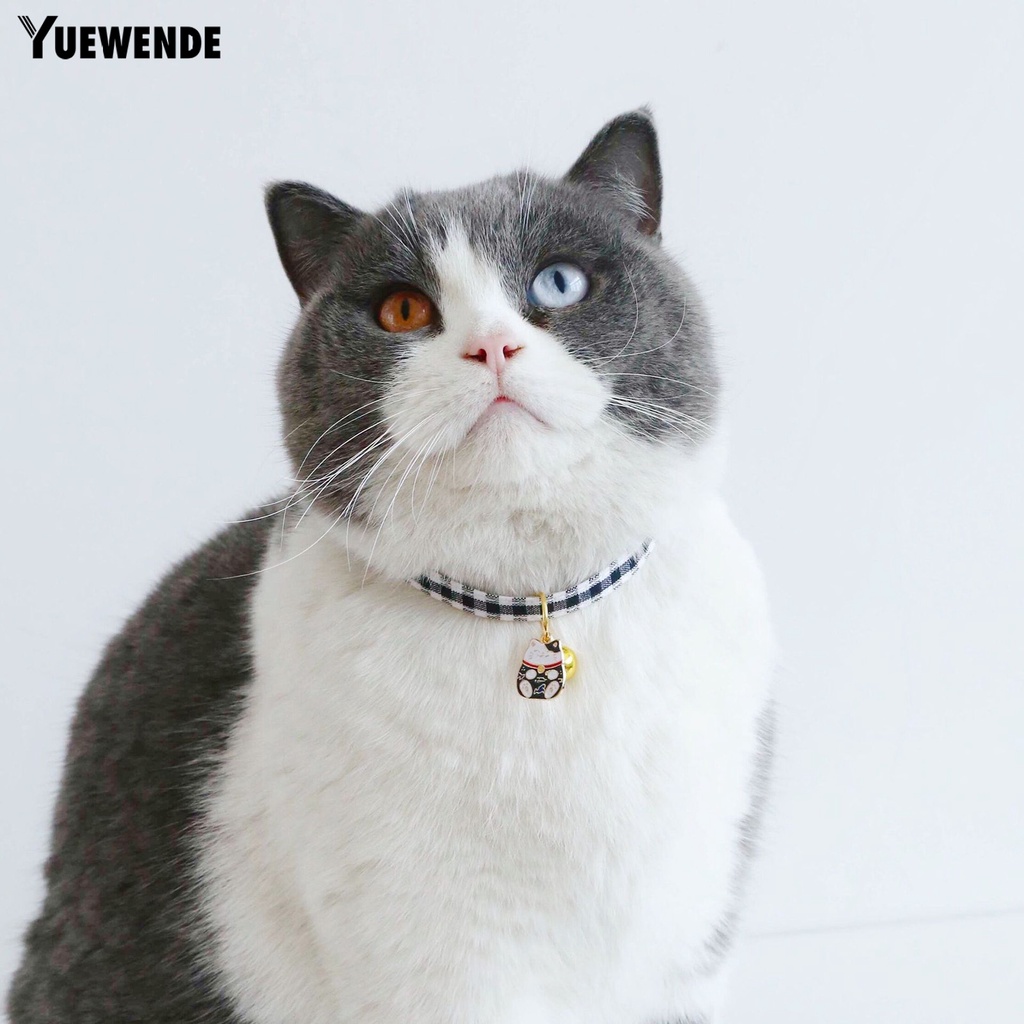 Vòng Cổ Thoáng Khí Cho Thú Cưng