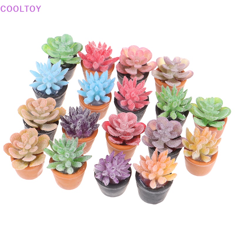 Set 5 Mô Hình Bình Nước COOLTOY Mini Tỉ Lệ 1: 12 Trang Trí Nhà Búp Bê