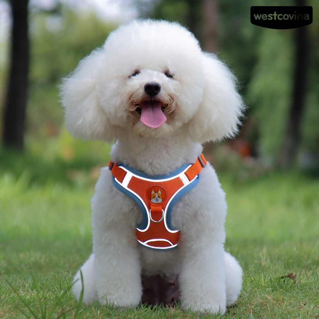 [COD]♞Set 2 Dây Dắt Thú Cưng Đi Dạo Chống Cút Thiết Kế Phản Quang Thoáng Khí