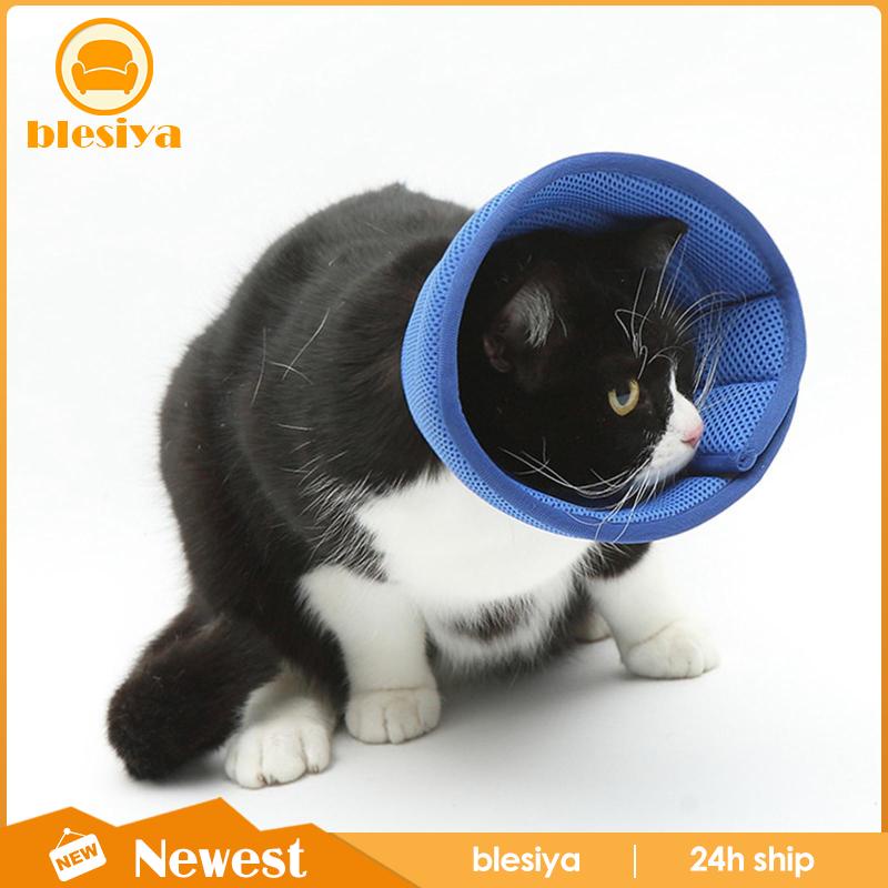 Dụng Cụ Hình Nón Bảo Vệ Cổ Chó Mèo Bị Cắn / Liếm Viền