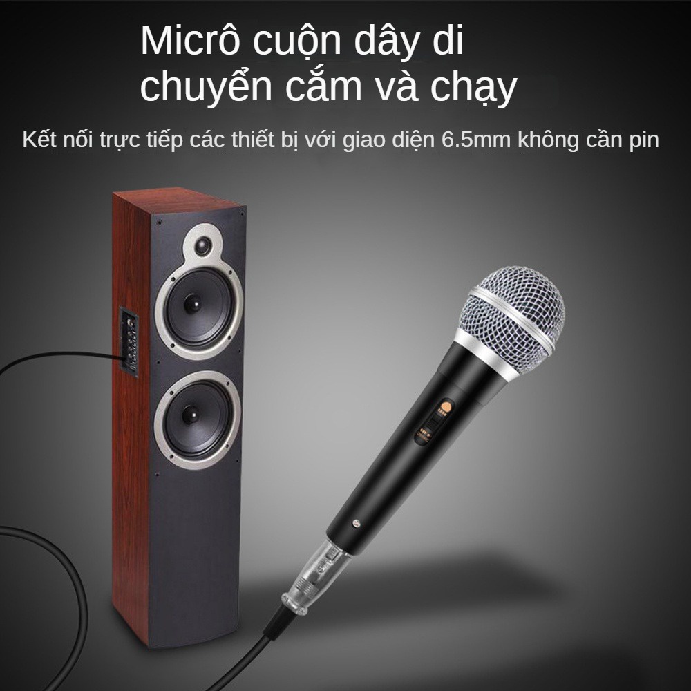 Loa Bluetooth Micro có dây Hỗ trợ Singer Cầm micro động