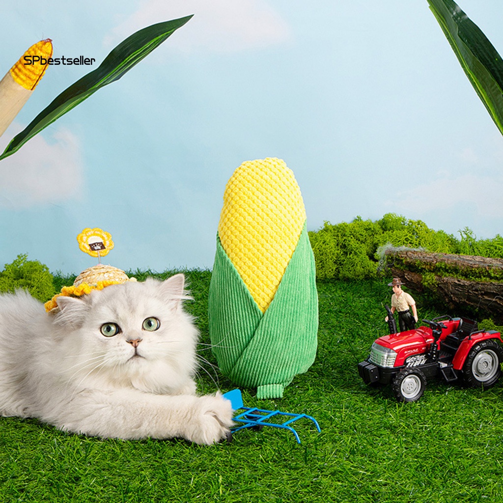 Đồ Chơi Nhai Gặm Độ Đàn Hồi Cao Có Thể Tái Sử Dụng Hỗ Trợ Huấn Luyện Thú Cưng