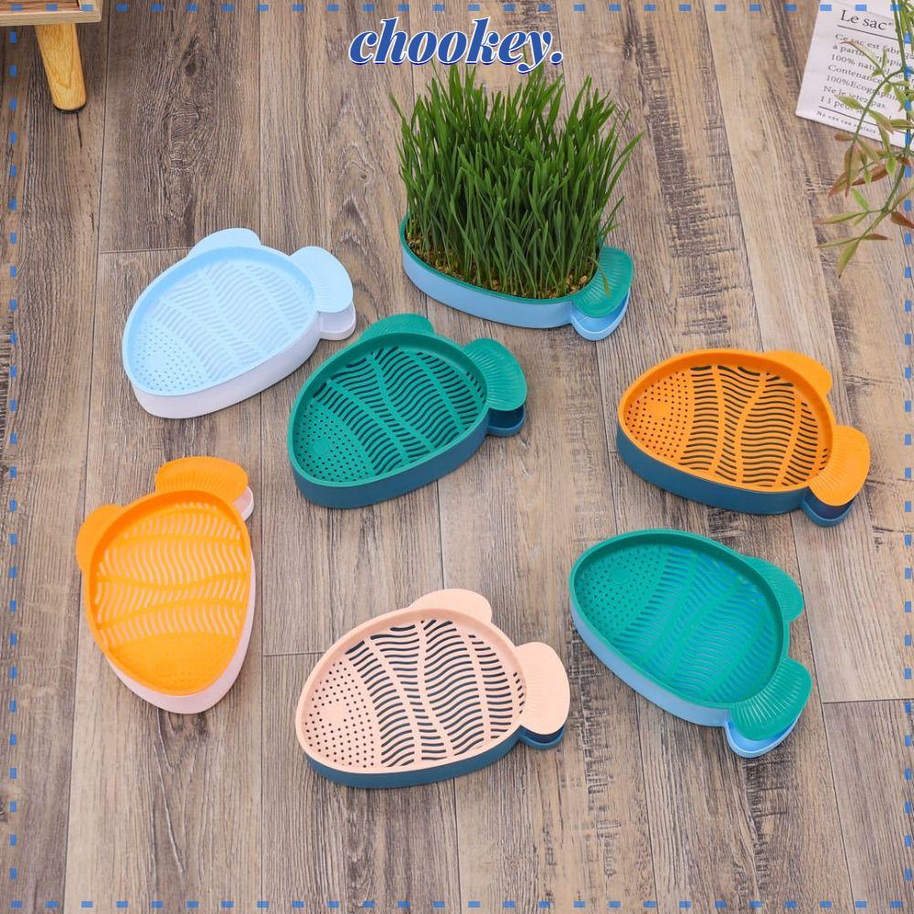 Hộp Nhựa Trồng Cỏ Cho Mèo Chất Lượng Cao