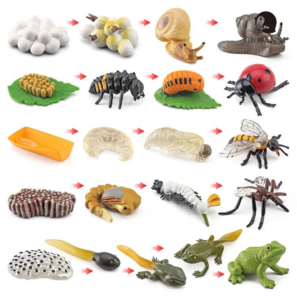 Mô Hình Đồ Chơi Cây Giả Sinh Vật Giáo Dục Nhận Thức Cho Trẻ Em GIOVANNI