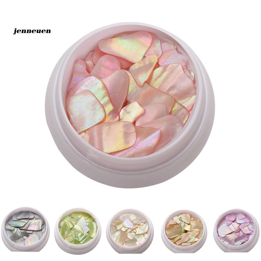 1 Hộp Vỏ Sò Mini Trang Trí Móng Tay Nghệ Thuật Cho Nữ
