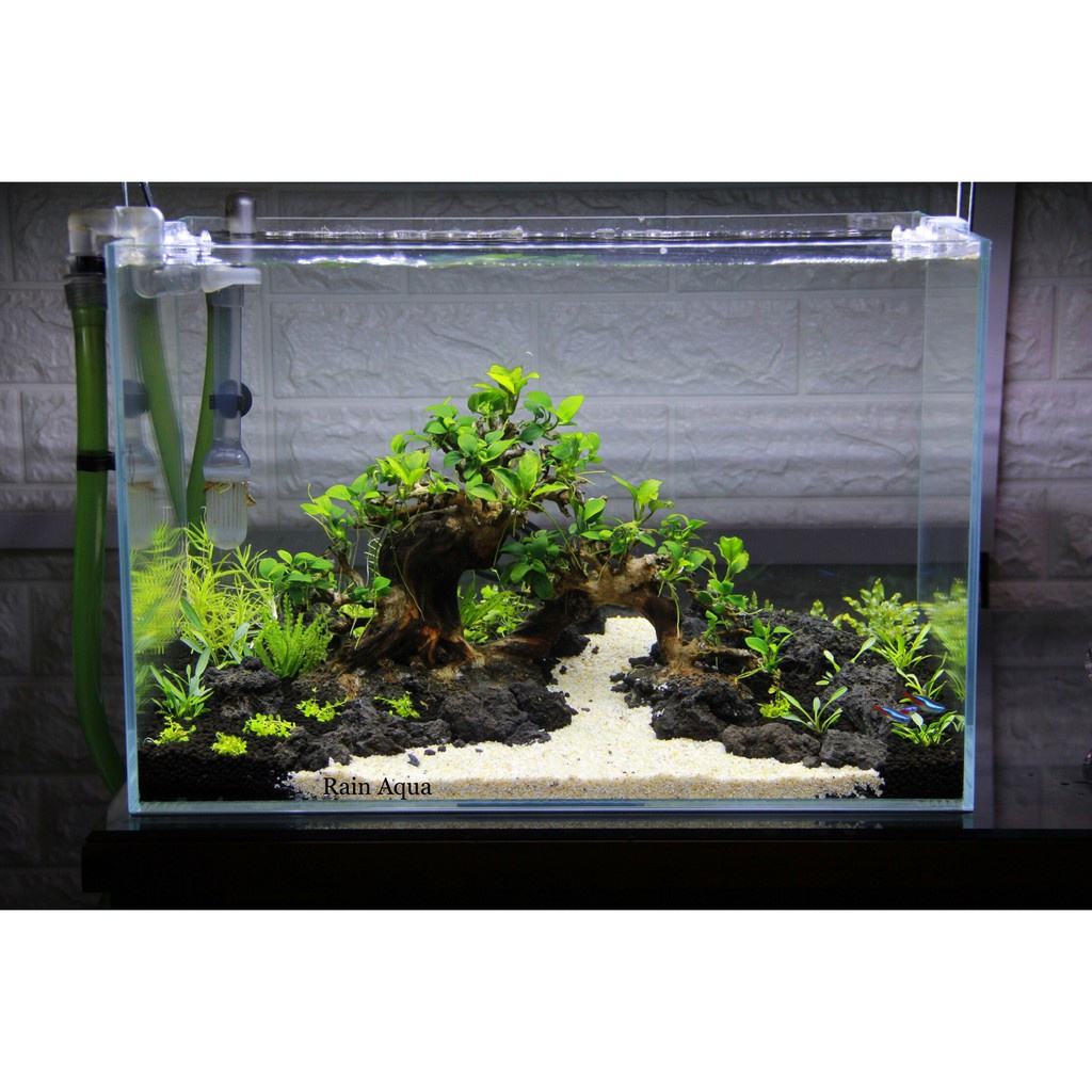 Cát Trắng Mịn. Trang Trí Bể Cá Cảnh - Bể Thủy Sinh.