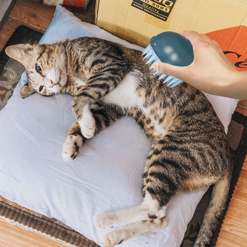 HamshMoc Lược Silicone Mềm Chải Lông Tắm Massage Cho Chó Mèo