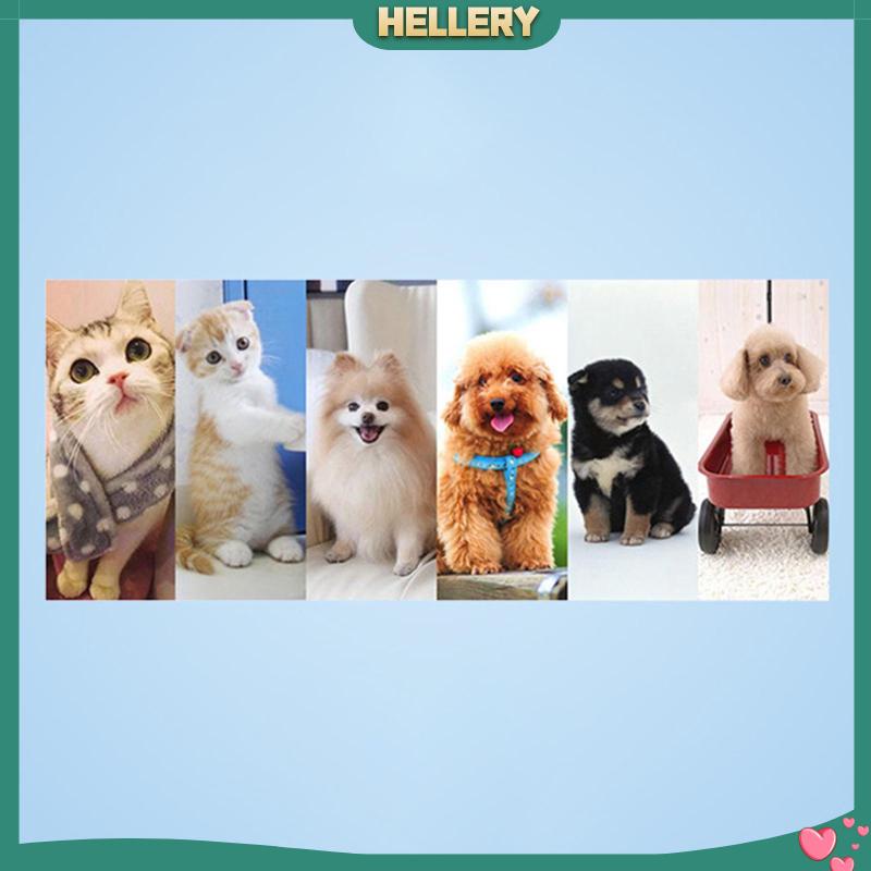 Nhà Có Thể Gấp Gọn Tiện Dụng Cho Thú Cưng Thỏ / Thú Cưng