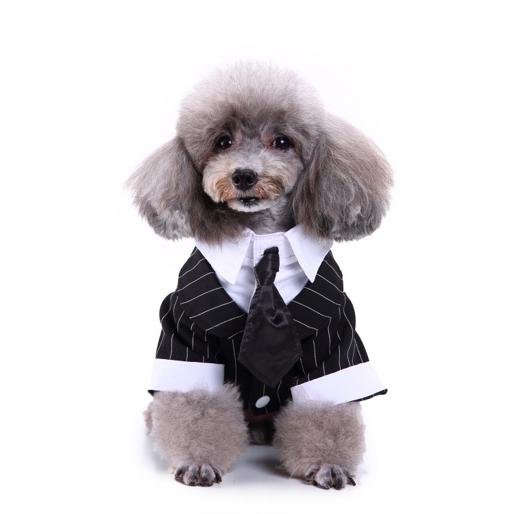 Cà Vạt Tuxedo Đồng Phục Trang Trọng Cho Thú Cưng