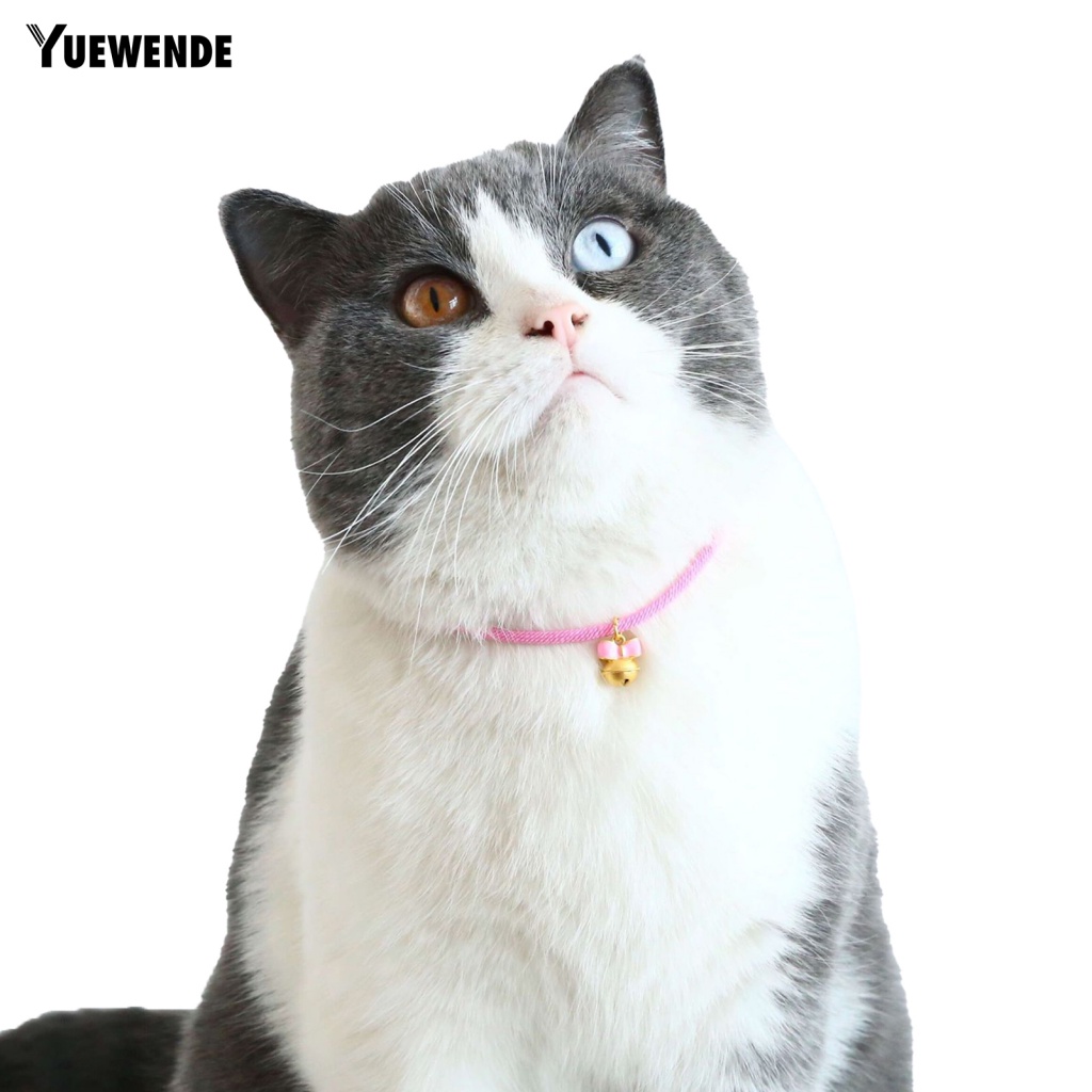 Vòng Cổ Màu Trơn Đính Chuông Cho Thú Cưng