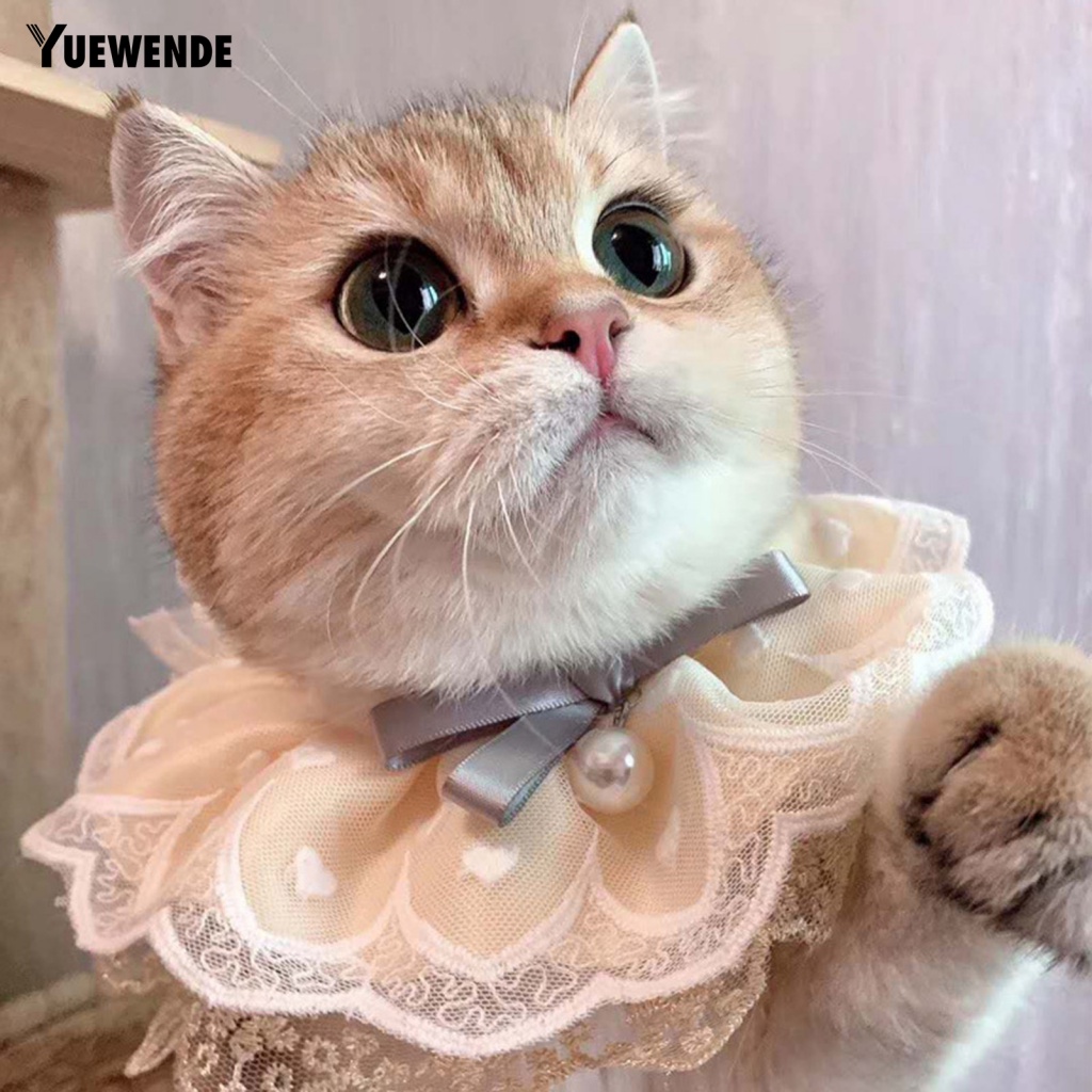 Khăn Choàng Cổ Họa Tiết Trái Tim Đính Ngọc Trai Thanh Lịch Cho Thú Cưng