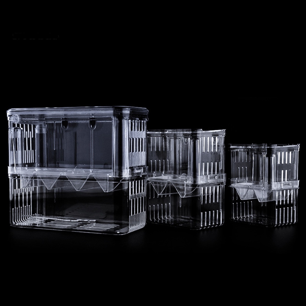 Hộp Nuôi Cá Hai Tầng Trong Suốt Đa Năng