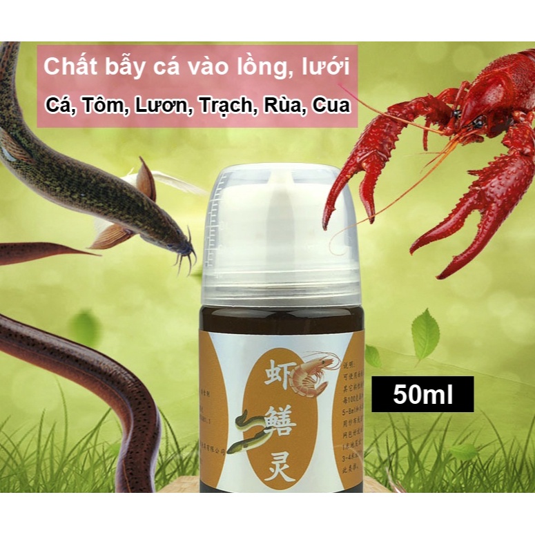 A Đồ Câu SIMANO - Đồ Câu SIMANO