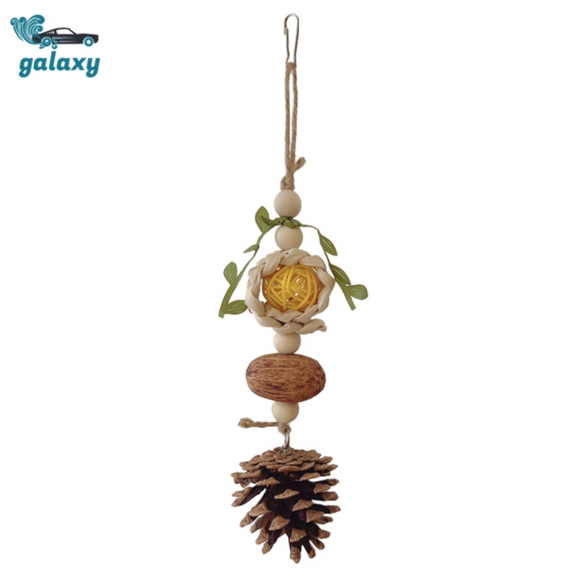 Galaxy Đồ Chơi Nhai Gặm Hình Nón Quả Thông Dành Cho Chim Vẹt