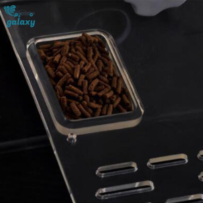 Galaxy Bệ Đứng Trong Suốt Có Cốc Hút Dành Cho Bể Nuôi Rùa