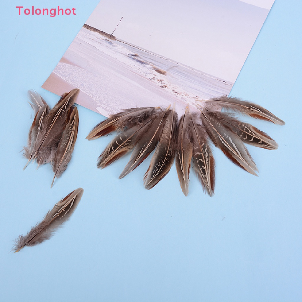 Set 50 Lông Gà 5-10cm Dùng Trang Trí Thủ Công diy