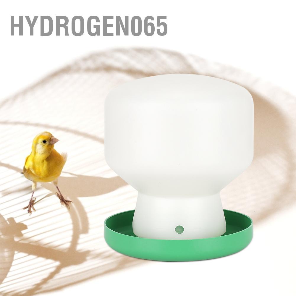 Hydrogen065 Lớn Nhựa Xanh Bao Trắng Nòng Vòi Nước Uống Tự Động Chim Ăn Đựng Cho Bồ Câu Vẹt