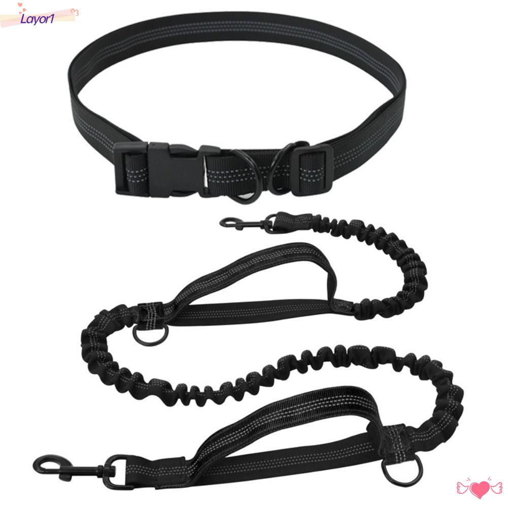Dây Dắt Chó Đi Dạo Có Thể Thu Gọn LAYOR1