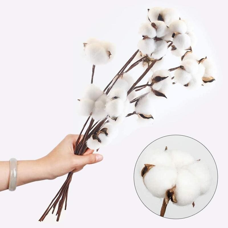 Set 10 Bông Hoa Khô Chất Liệu Cotton Tự Nhiên Trang Trí Nhà Cửa / Văn Phòng / Ban Công DIY