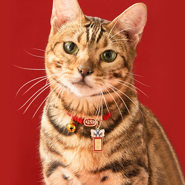 Cổ Mèo Vòng Cổ Màu Đỏ May Mắn Thú Cưng Có Thể Điều Chỉnh Hoạt Hình Dệt Koi Chó Con Dễ Thương Mèo Con Phụ Kiện Cho Chó Nhỏ Trung Quốc Cổ Năm Mới