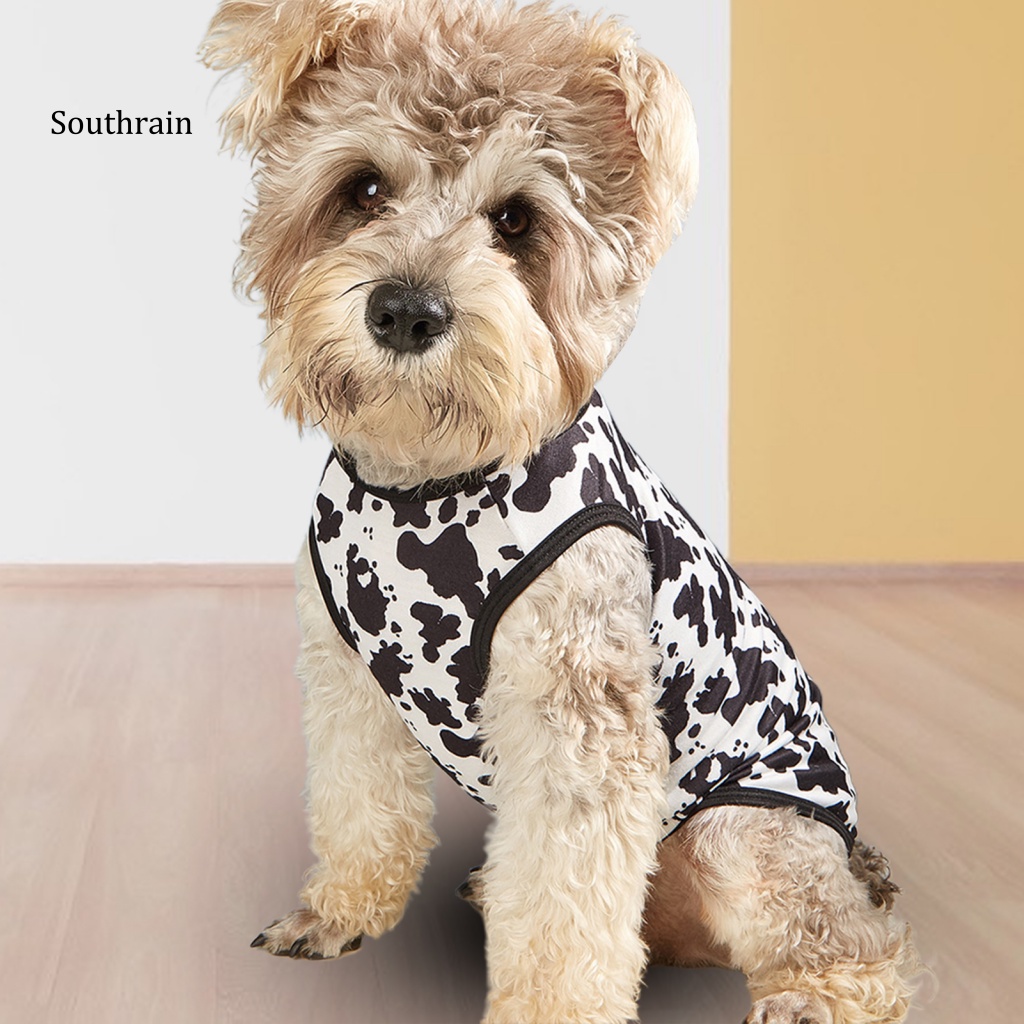 Áo Sweater Co Giãn Thoáng Khí In Họa Tiết Chấm Bi Đáng Yêu Cho Thú Cưng