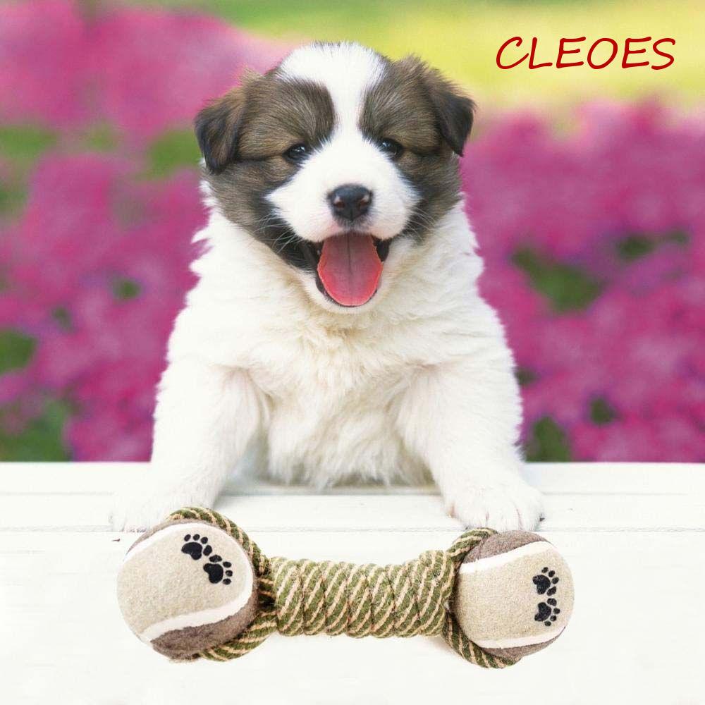 Đồ Chơi Bóng Tennis Mài Răng Chống Cắn Cho Thú Cưng Cỡ Vừa Và Lớn