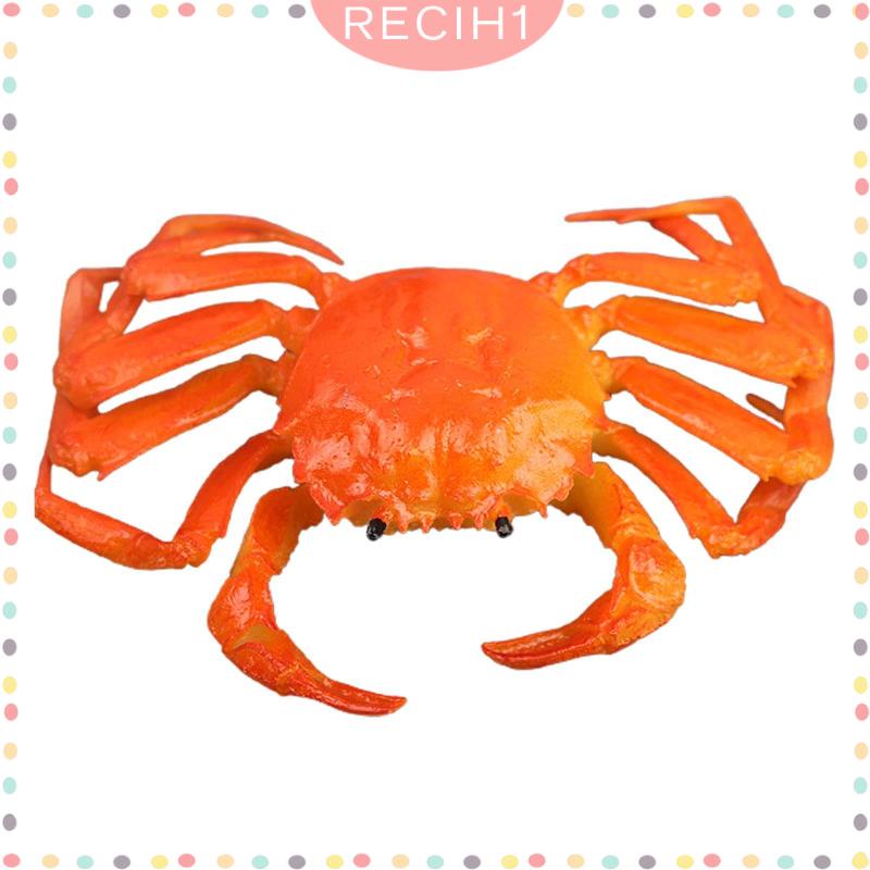 Mô Hình Sinh Vật Biển Đồ Chơi Cho Bé