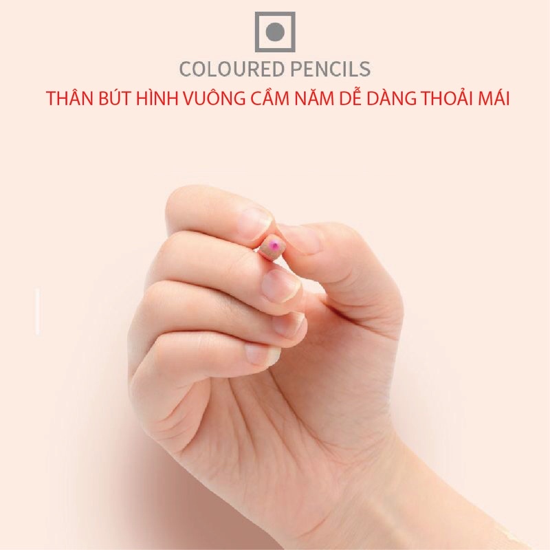 Bộ 12/24 màu chì hộp thiếc tông pastel marco