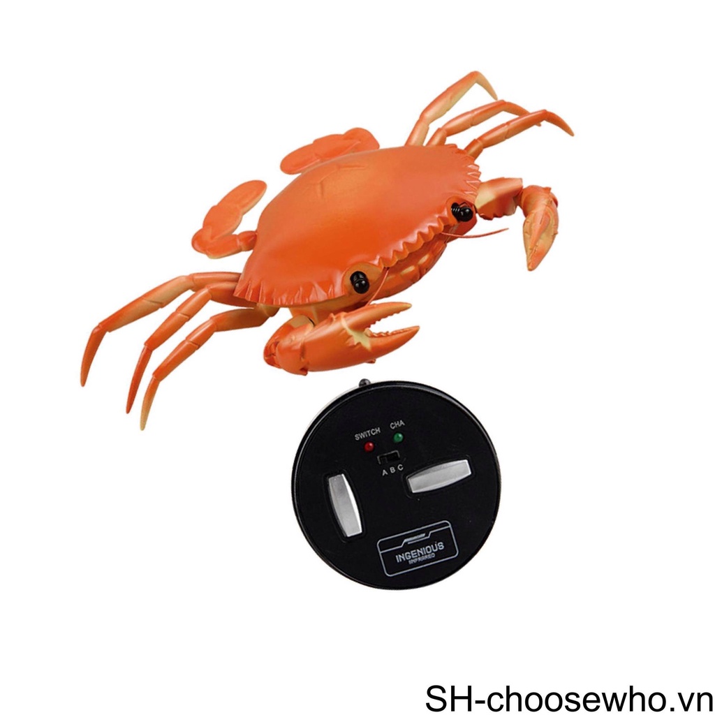 Đồ Chơi Chú Cua Điều Khiển Từ Xa Sáng Tạo Vui Nhộn Cho Bé