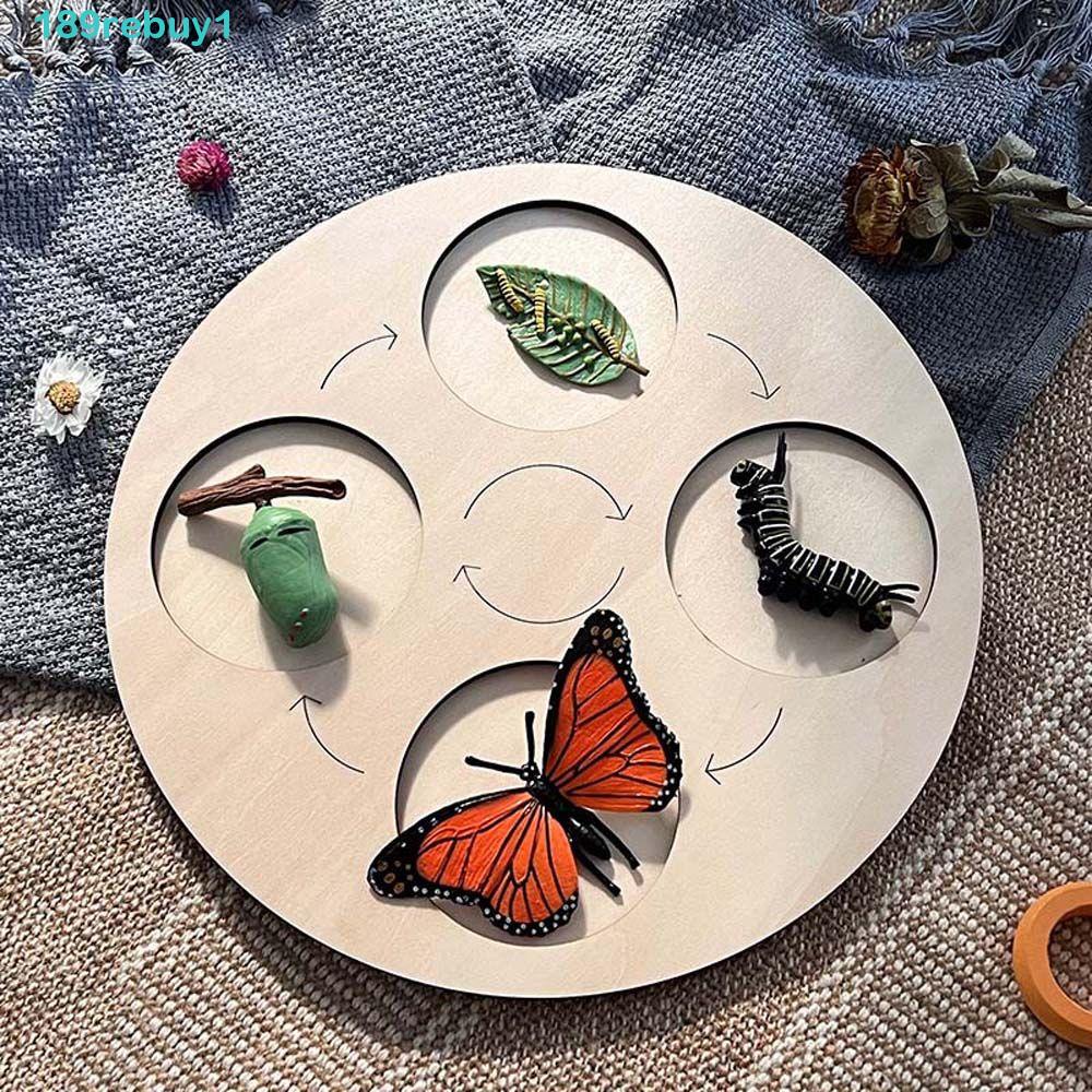 Bộ Đồ Chơi Giáo Dục Trẻ Em REBUY1 Gồm Cây / Động Vật / Cây Cối / Đồ Chơi Tăng Trưở