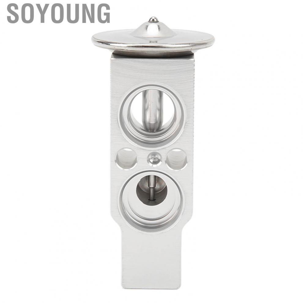 Soyoung 5139280AA  Rear AC Expansion Valve High Cooling Efficiency Rust Resistant Durable Aluminum for SUVs