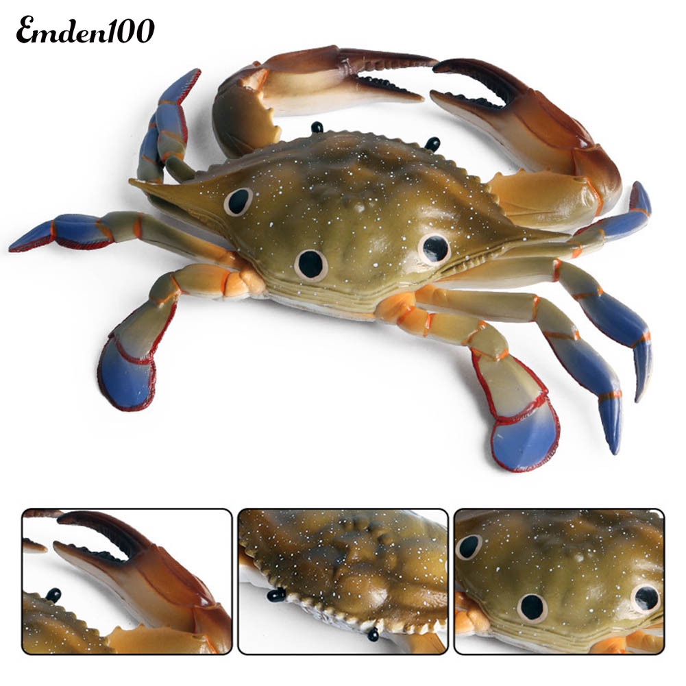 Đồ trang trí Cua Biển Đồ Chơi Bằng Nhựa Cho Bé