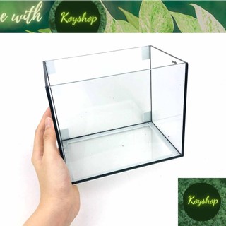 Bể cá mini bể cá betta hồ cá vuông để bàn hv 18x12x15 - bể cá mini bảo hành bễ vỡ