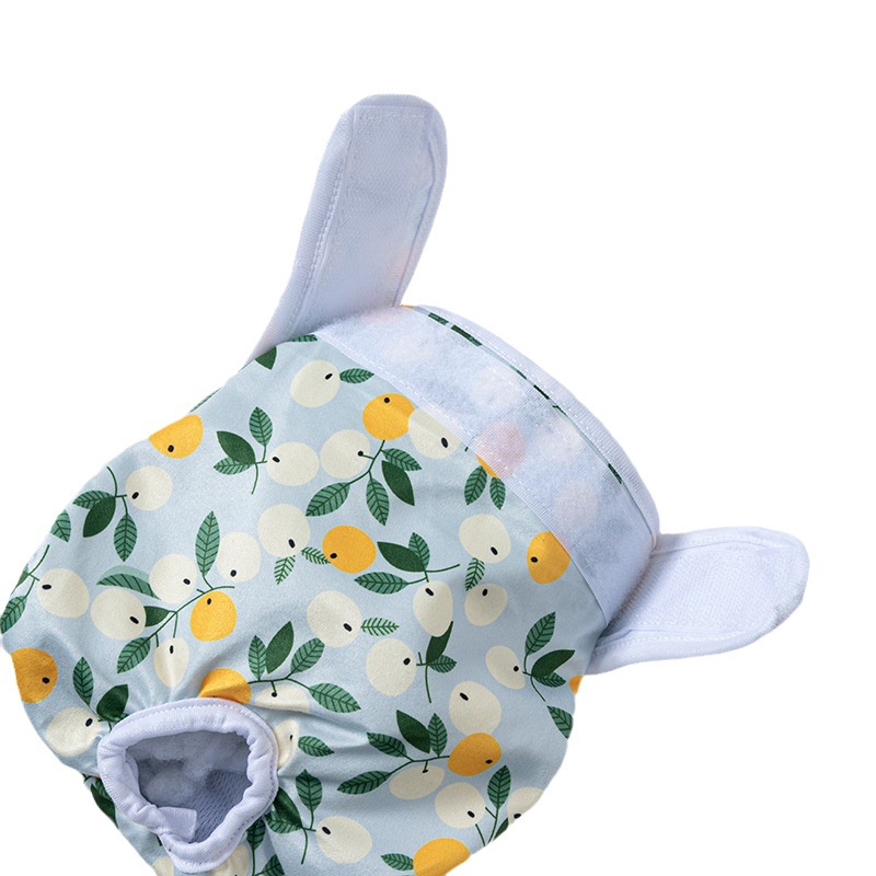 Quần sinh lý cho chó in dễ thương cho nữ quần đùi cho chó con đồ lót cho chó có thể giặt được tã lót cho thú cưng