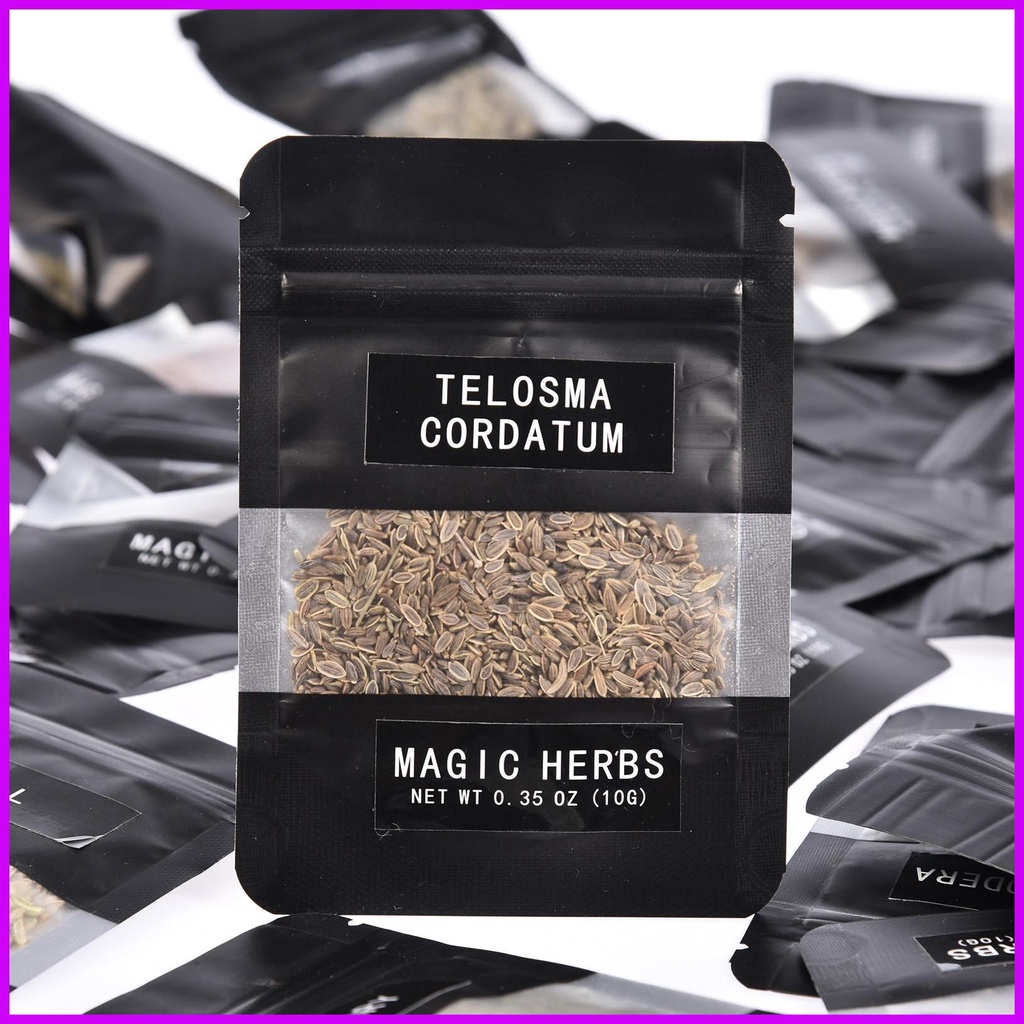 30 herbs witchcraft kit bộ thảo mộc khô với thìa pha lê bộ khởi động phù thủy trang trí nội thất cho quà tặng phù thủy wicca cingvn