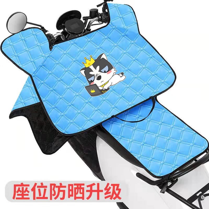 Chăn Che Nắng Chắn Gió Chống Thấm Nước Tiện Dụng Cho Người Đi Xe Máy