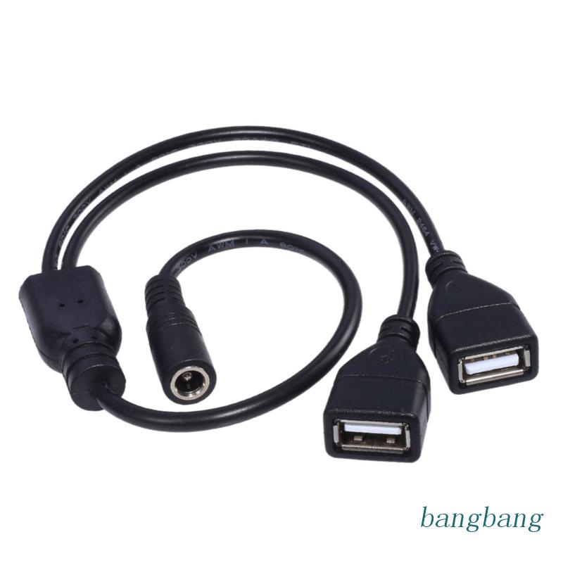 Dây Cáp Sạc Chuyển Đổi USB Sang DC 5.5x2.1 mm 5V DC 5.5X2.1mm Female Sang 2 USB F Chất Lượng Cao