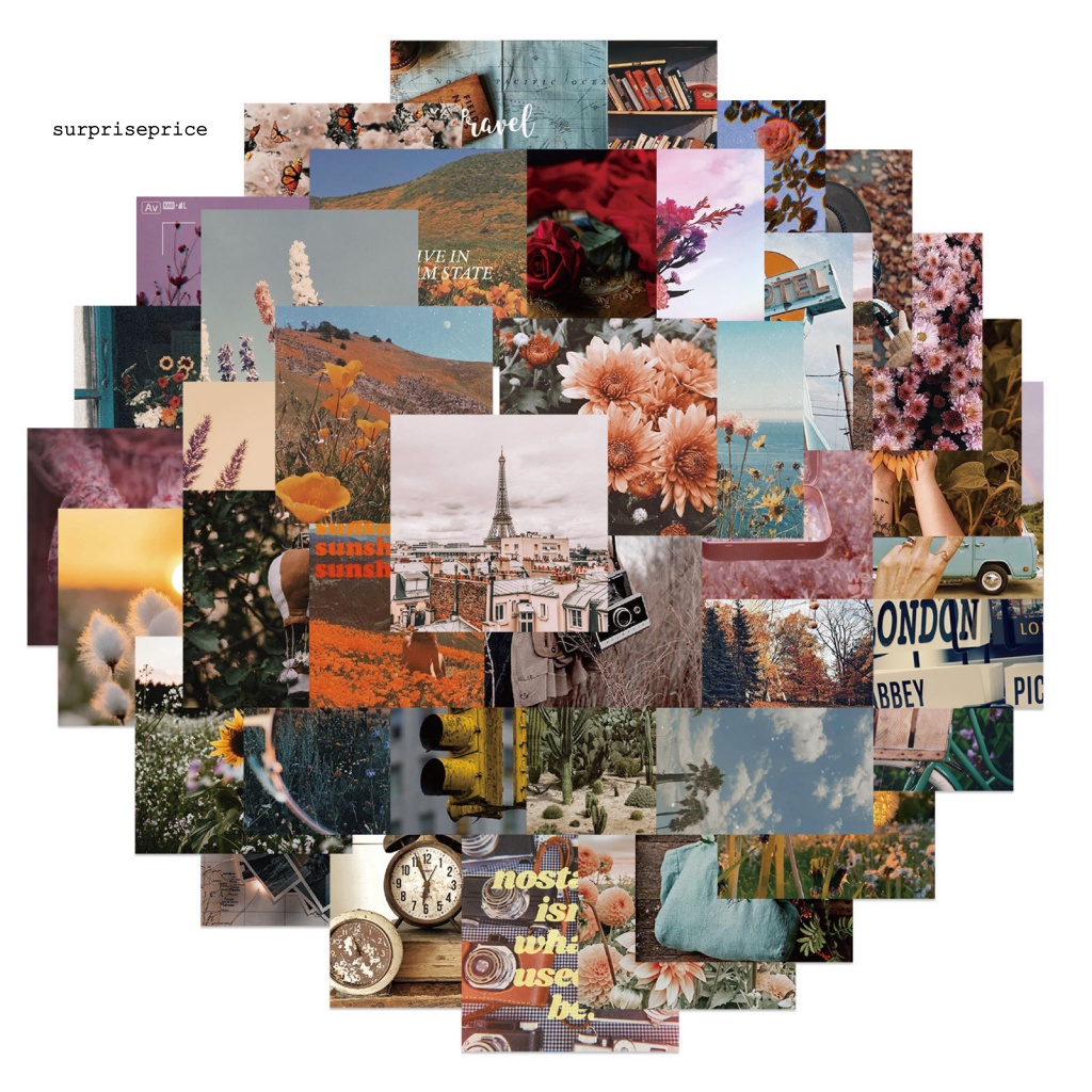 Bộ 56 Miếng Dán PVC Chống Nước Dùng Trang Trí Ván Trượt