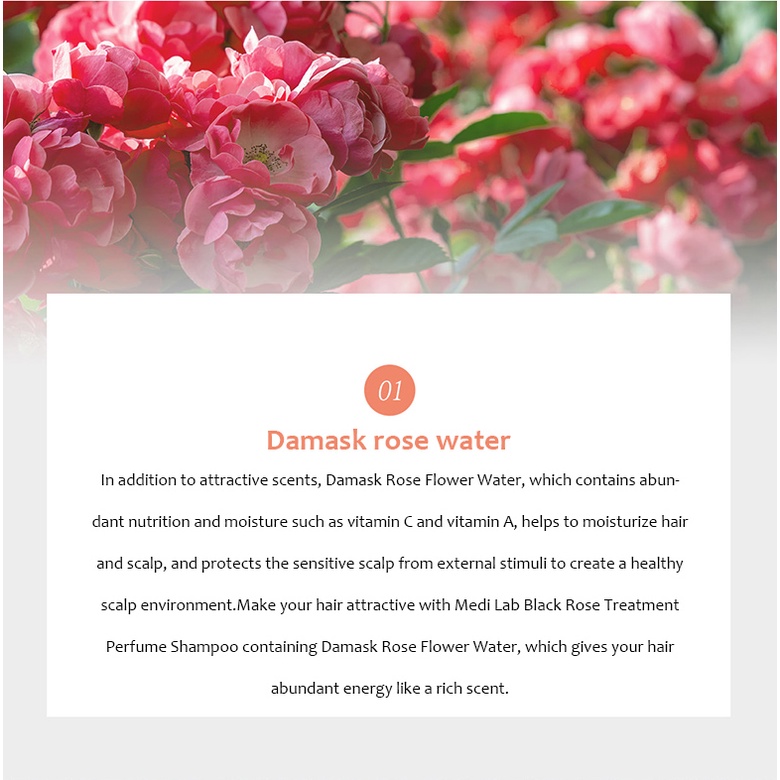 Dầu Gội Hương Hoa Hồng Đen Daycell Medi Lab 350Ml