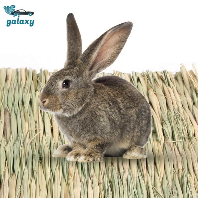 Galaxy Thảm Cỏ Đan Thủ Công Tự Nhiên Cho Hamster / Thỏ / Vẹt