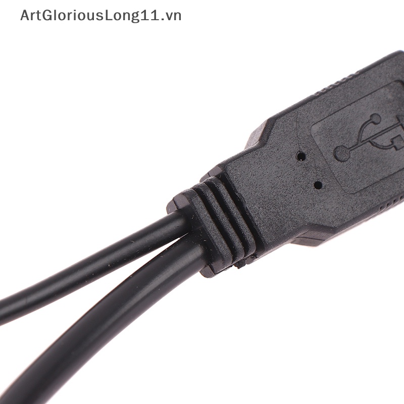 1 Dây Nối Dài Chuyển Đổi Cổng Cắm 15 / 30cm Sang 2 Ổ Cắm USB 2.0 Chuyên Dụng