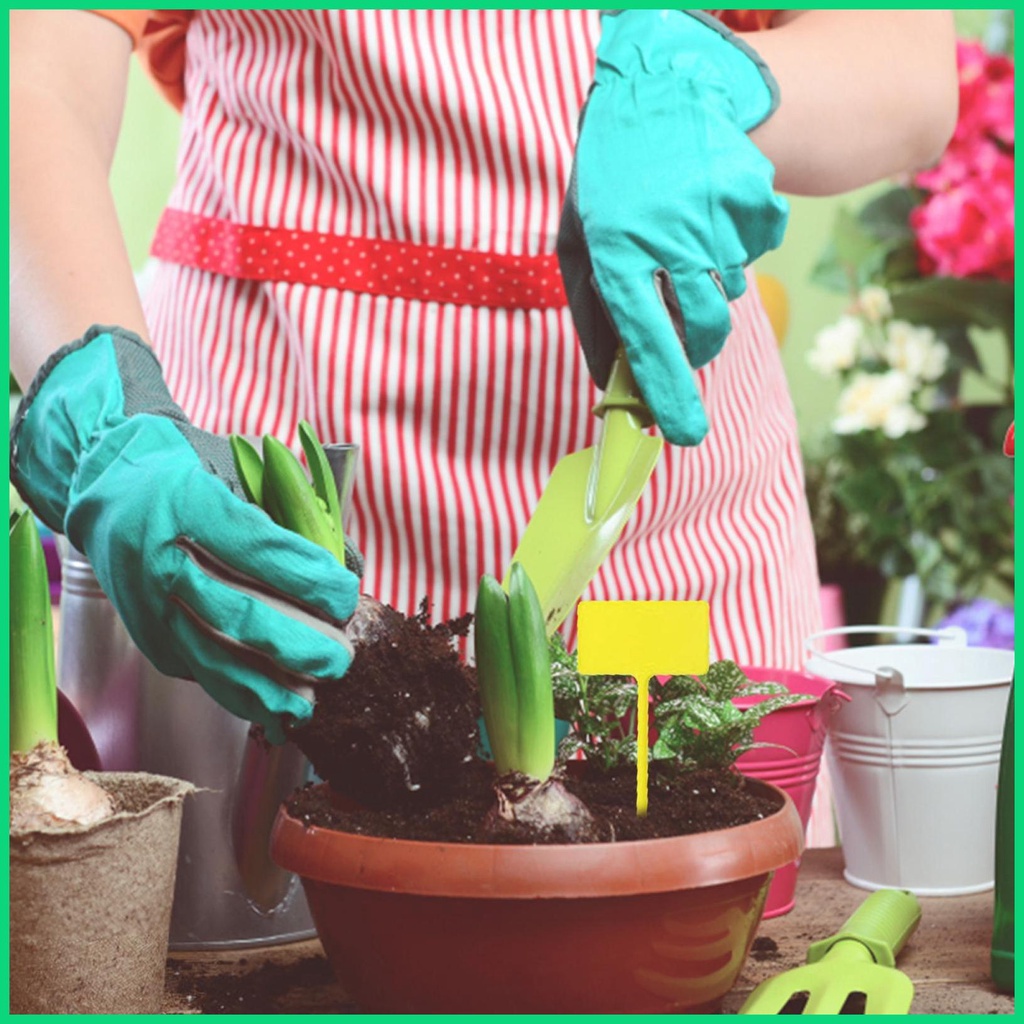 Set 12 Nhãn Chữ T Đánh Dấu Cây Trồng Trong Nhà Kính