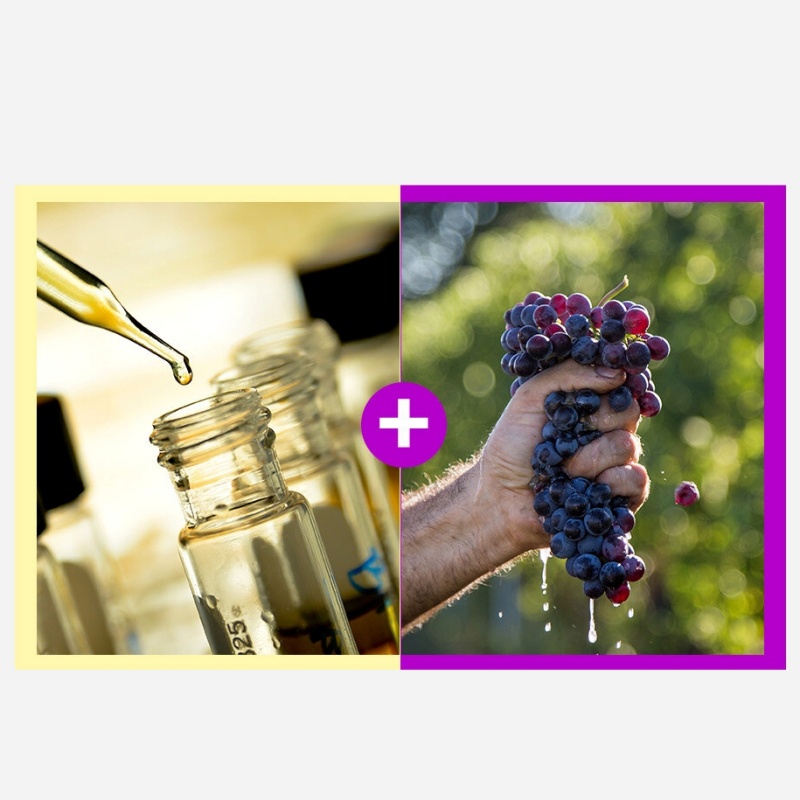 Sungboon Editor Meoru Podo Vita C Dark Spot Ampoule 30ml