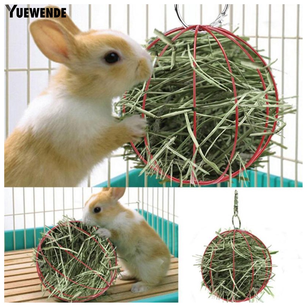 Yq.e Giá Treo Quả Bóng Cỏ Tròn Mini Đựng Thức Ăn Cho Thú Cưng