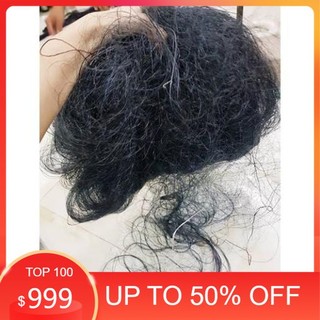 Lưới bẫy chim cu gáy, gà rừng