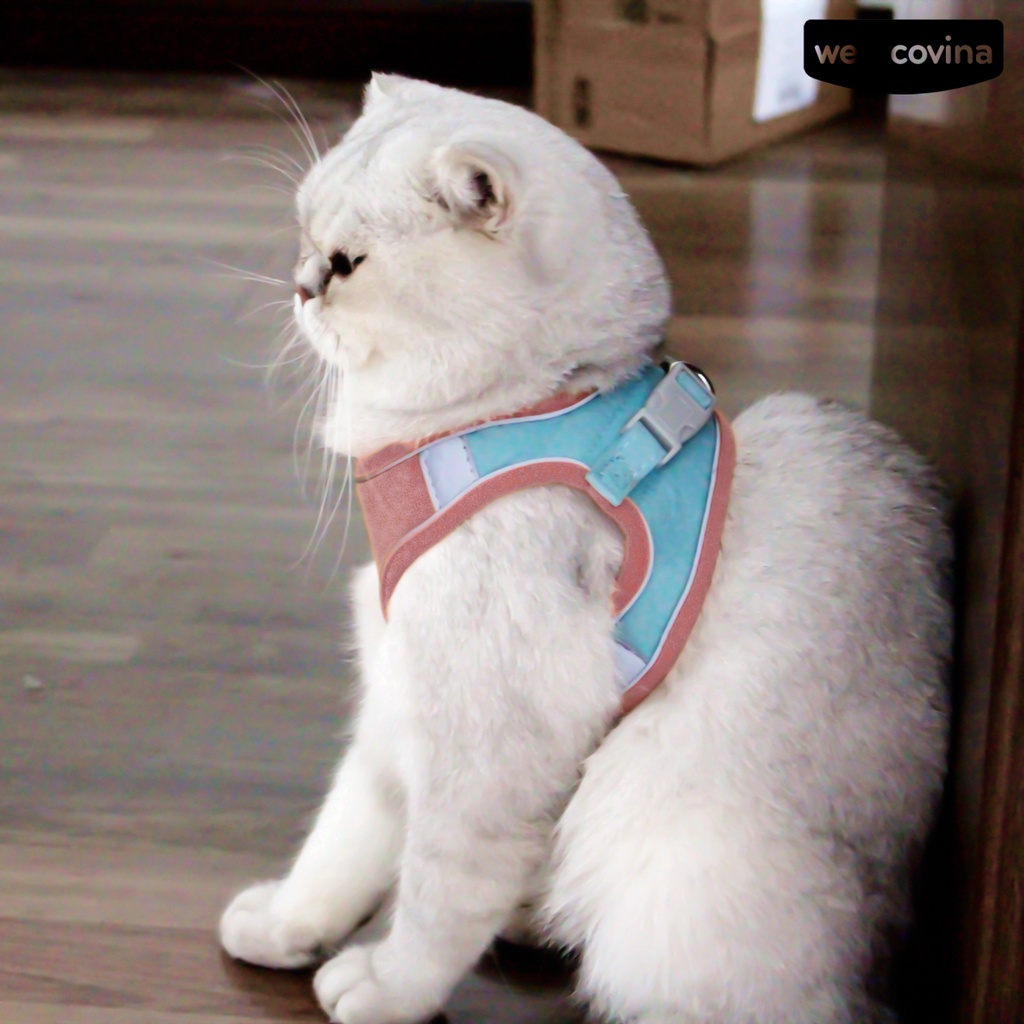 [COD]♞Dây Dắt Thú Cưng Đi Dạo Có Thể Điều Chỉnh Kích Thước Với Dải Phản Quang