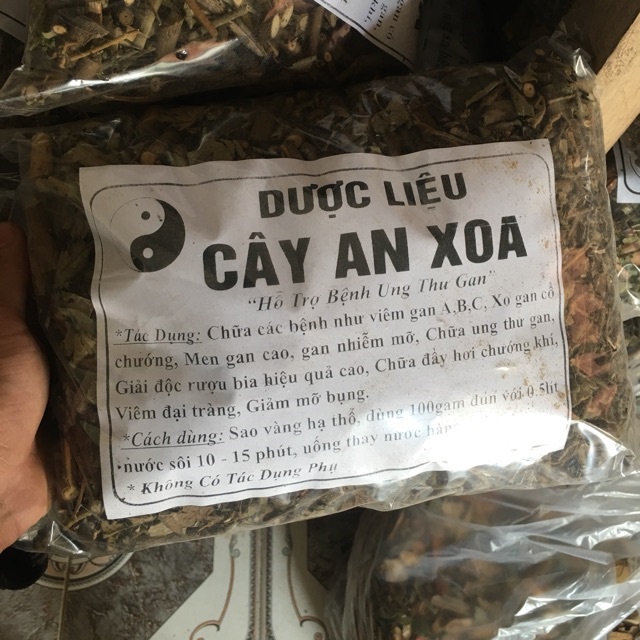 cây an xoa hòa bình hoa tím 1kg mát gan