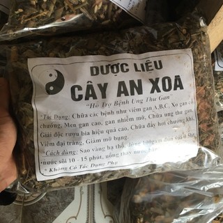 Cây an xoa hòa bình hoa tím 1kg mát gan